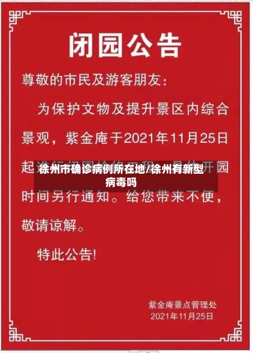 徐州市确诊病例所在地/徐州有新型病毒吗-第3张图片