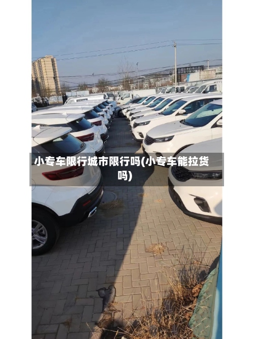 小专车限行城市限行吗(小专车能拉货吗)