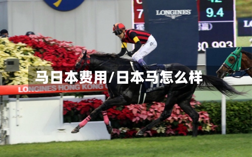 马日本费用/日本马怎么样-第2张图片