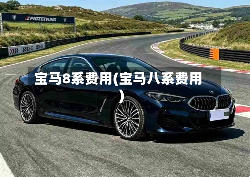 宝马8系费用(宝马八系费用)-第2张图片