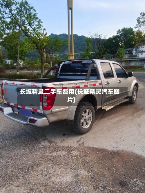长城精灵二手车费用(长城精灵汽车图片)