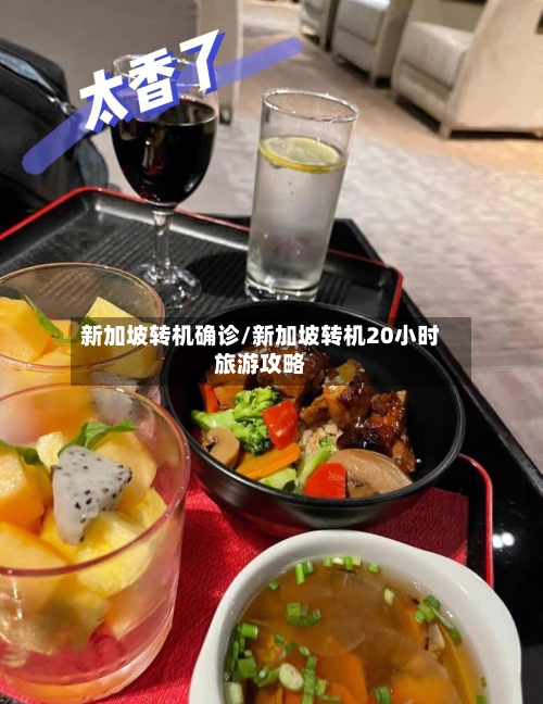 新加坡转机确诊/新加坡转机20小时旅游攻略-第2张图片