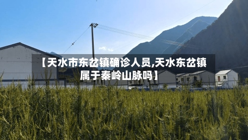 【天水市东岔镇确诊人员,天水东岔镇属于秦岭山脉吗】