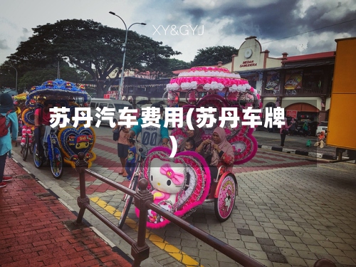 苏丹汽车费用(苏丹车牌)