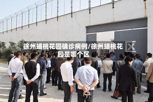 徐州蟠桃花园确诊病例/徐州蟠桃花园是哪个区