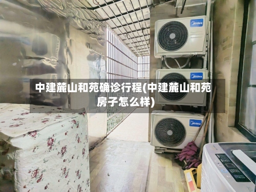 中建麓山和苑确诊行程(中建麓山和苑房子怎么样)-第3张图片