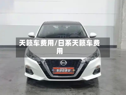 天籁车费用/日系天籁车费用-第2张图片