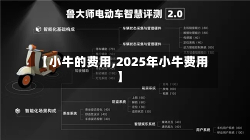 【小牛的费用,2025年小牛费用】
