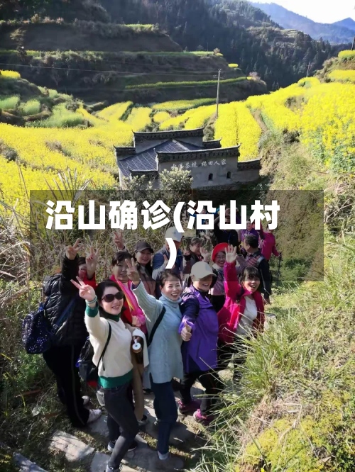 沿山确诊(沿山村)