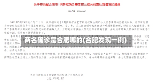 两名确诊是合肥哪的(合肥发现一例)-第3张图片