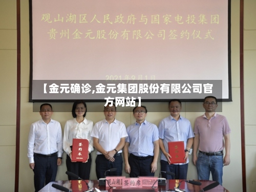 【金元确诊,金元集团股份有限公司官方网站】-第2张图片