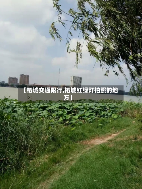 【柘城交通限行,柘城红绿灯拍照的地方】