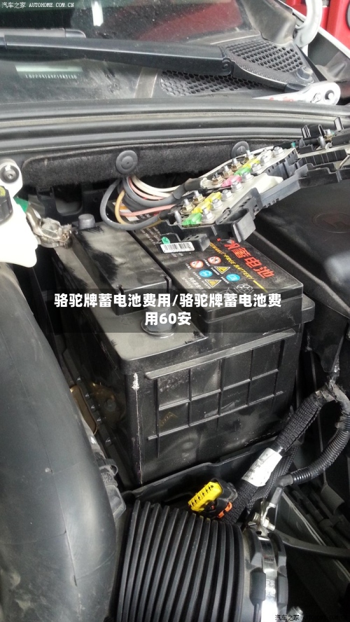 骆驼牌蓄电池费用/骆驼牌蓄电池费用60安-第2张图片