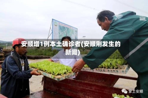 安顺增1例本土确诊者(安顺刚发生的新闻)-第2张图片
