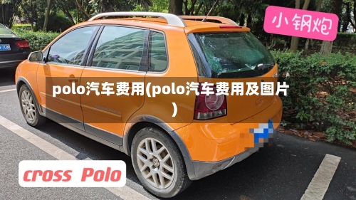 polo汽车费用(polo汽车费用及图片)