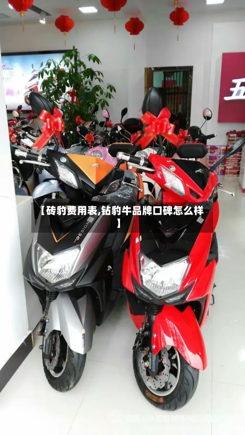【砖豹费用表,钻豹牛品牌口碑怎么样】