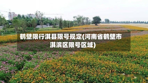 鹤壁限行淇县限号规定(河南省鹤壁市淇滨区限号区域)