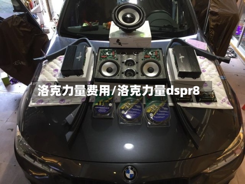 洛克力量费用/洛克力量dspr8