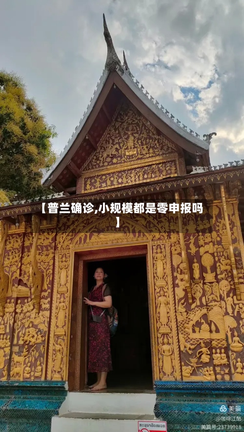【普兰确诊,小规模都是零申报吗】-第3张图片
