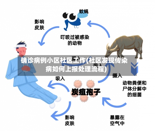 确诊病例小区社区工作(社区发现传染病如何上报处理流程)-第2张图片