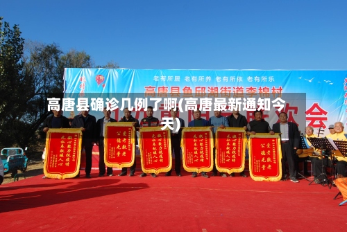 高唐县确诊几例了啊(高唐最新通知今天)-第2张图片