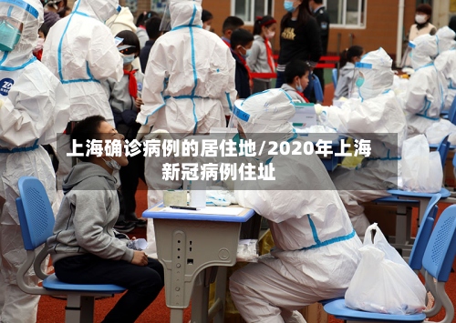 上海确诊病例的居住地/2020年上海新冠病例住址