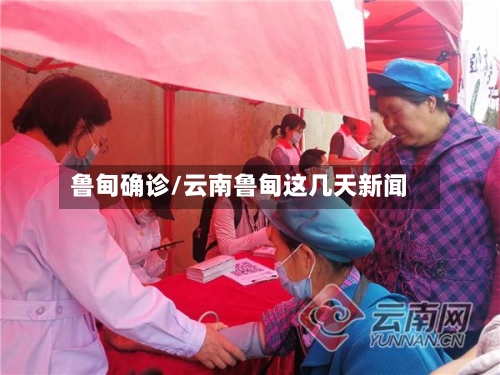 鲁甸确诊/云南鲁甸这几天新闻
