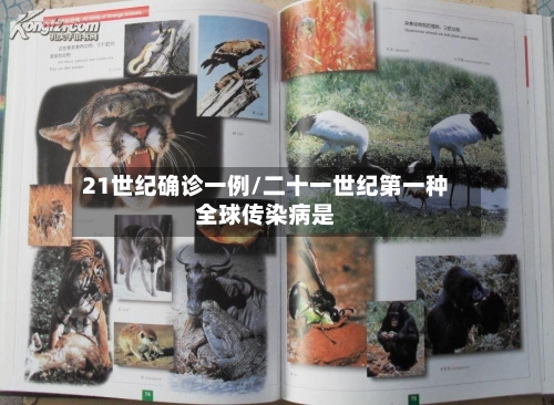 21世纪确诊一例/二十一世纪第一种全球传染病是-第3张图片