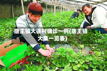 唐王镇大徐村确诊一例(唐王镇大集一览表)