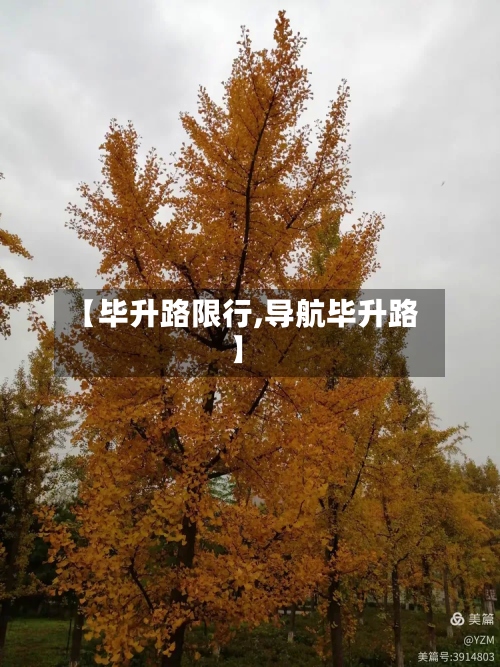 【毕升路限行,导航毕升路】-第2张图片