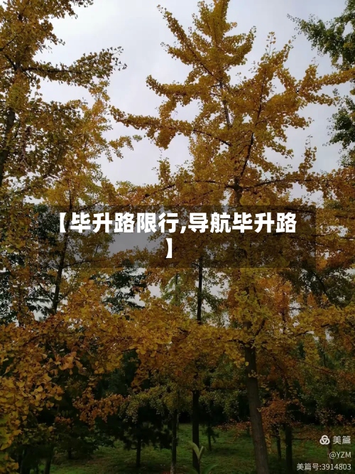 【毕升路限行,导航毕升路】-第3张图片