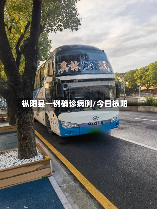 枞阳县一例确诊病例/今日枞阳