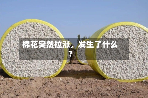棉花突然拉涨，发生了什么？-第1张图片
