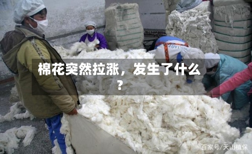 棉花突然拉涨	，发生了什么？-第3张图片