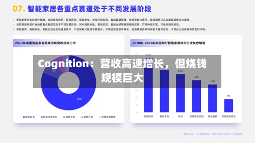 Cognition：营收高速增长，但烧钱规模巨大-第2张图片