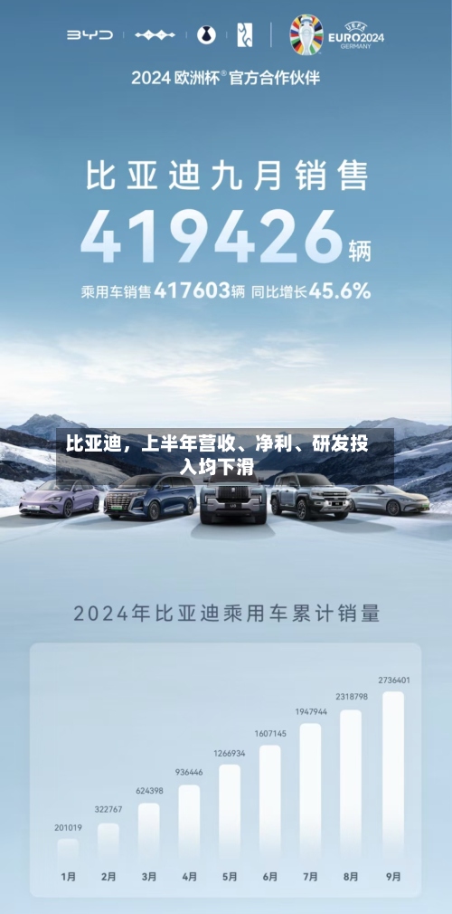 比亚迪，上半年营收、净利、研发投入均下滑