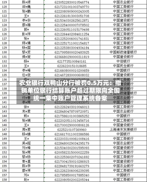 农业银行双鸭山分行被罚0.5万元：撤销单位银行结算账户超过期限向全国统一集中账户管理系统备案
