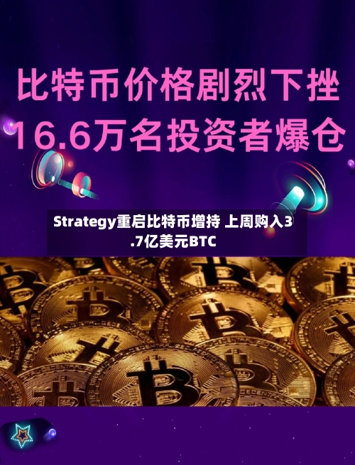 Strategy重启比特币增持 上周购入3.7亿美元BTC