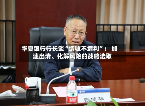 华夏银行行长谈“增收不增利”： 加速出清、化解风险的战略选取-第2张图片