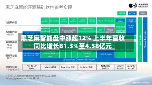 黑芝麻智能盘中涨超12% 上半年营收同比增长81.3%至4.58亿元-第1张图片