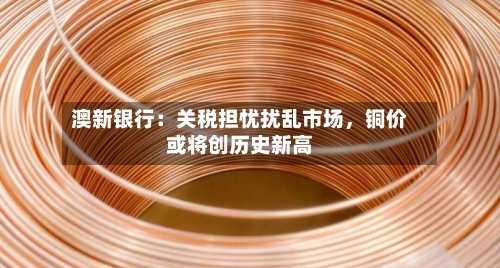 澳新银行：关税担忧扰乱市场	，铜价或将创历史新高-第2张图片