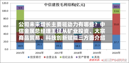 公司未来增长主要驱动力有哪些？中信金属总经理王猛从矿业投资、大宗商品贸易	、科技创新赋能三方面介绍-第3张图片