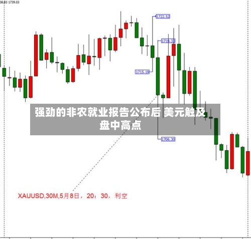 强劲的非农就业报告公布后 美元触及盘中高点