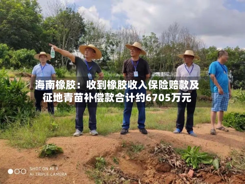 海南橡胶：收到橡胶收入保险赔款及征地青苗补偿款合计约6705万元