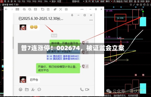 曾7连涨停！002674，被证监会立案-第2张图片