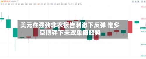 美元在强劲非农报告刺激下反弹 惟多空博弈下未改单周颓势