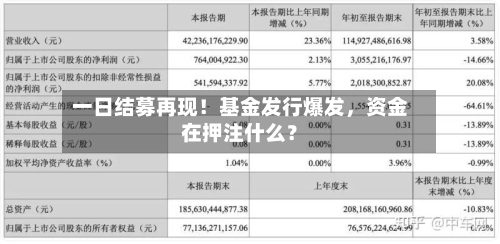 一日结募再现！基金发行爆发，资金在押注什么？