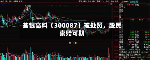 荃银高科（300087）被处罚，股民索赔可期-第2张图片