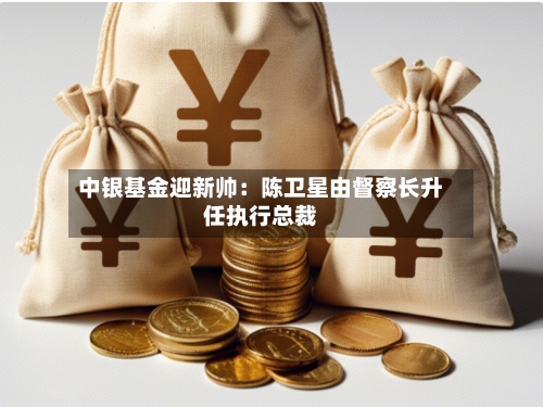 中银基金迎新帅：陈卫星由督察长升任执行总裁-第3张图片