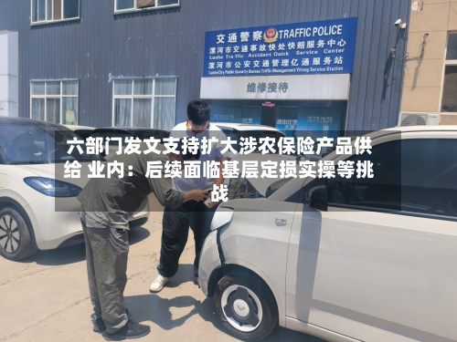 六部门发文支持扩大涉农保险产品供给 业内：后续面临基层定损实操等挑战